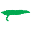 Logo of Divi Divi Air