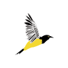 Logo of Rutaca Airlines
