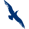 Logo of Cape Air