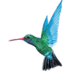 Logo of Caribbean Airlines