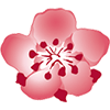Logo of China Airlines