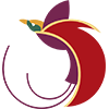 Logo of Air Niugini