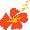 Logo of Aircalin