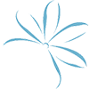 Logo of Air Tahiti Nui